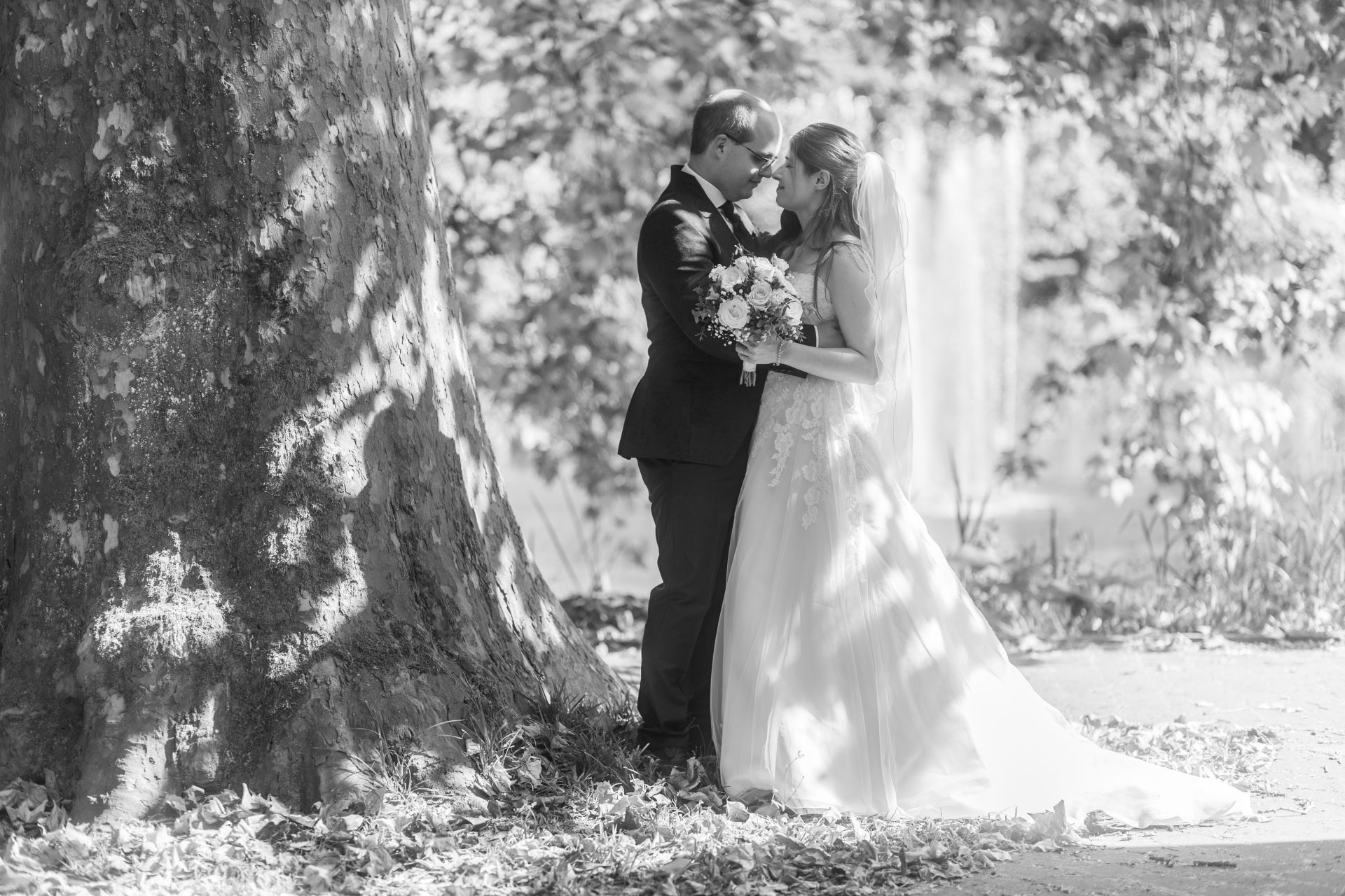 Fotografie im Saarland - Fotografie Frank Zenner